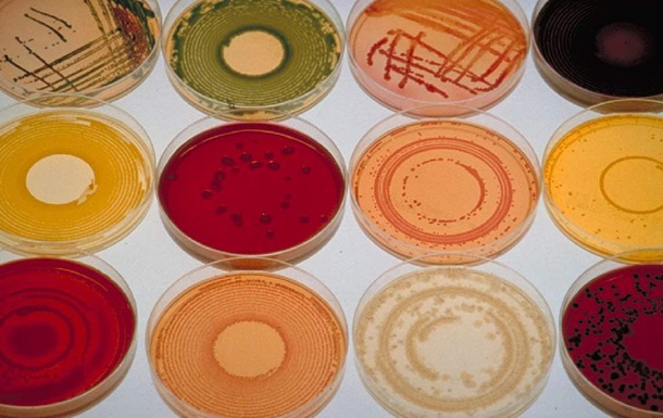 Супербактерии. Почему антибиотики потеряли силу